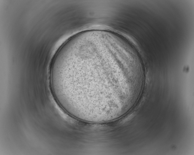 X0000114531430200911091101