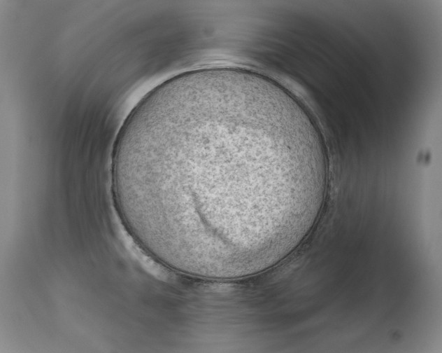 X0000114531431200911091101