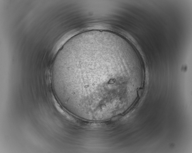 X0000114531433200911091101