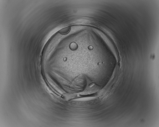 X0000114531434200911091101