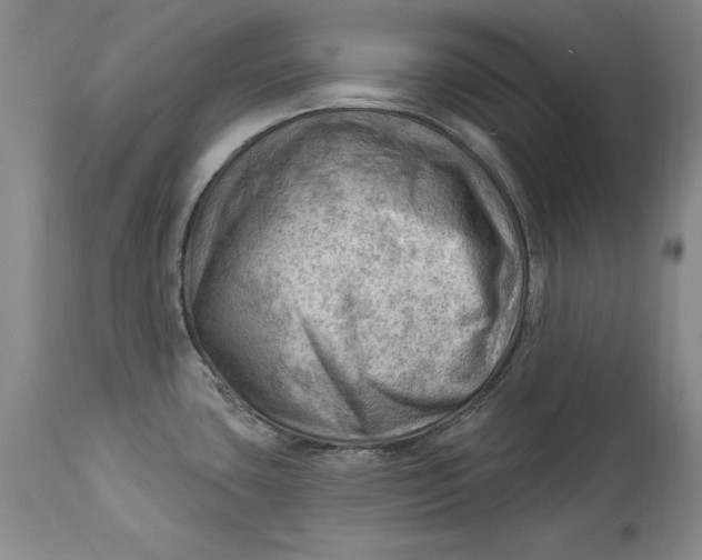 X0000114531435200911091101