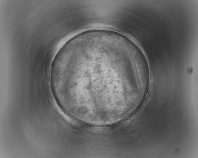 X0000114531437200911091101