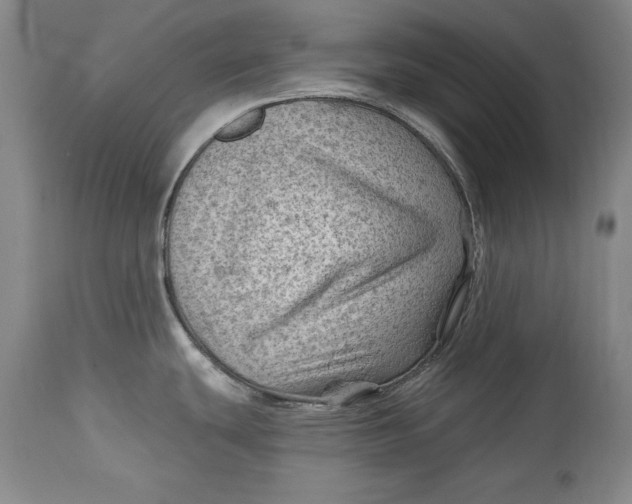 X0000114531439200911091101