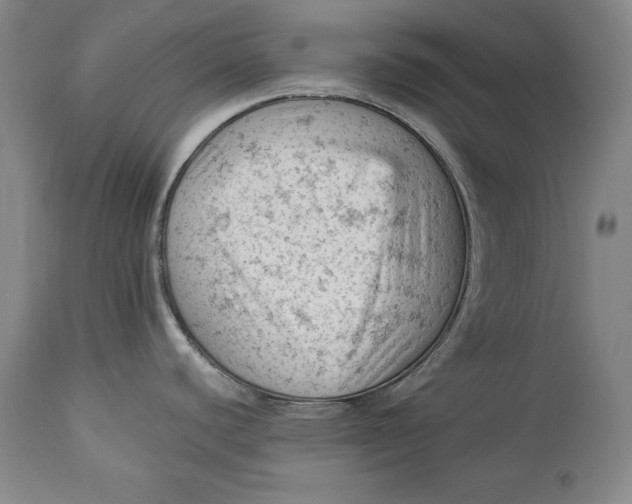 X0000114531440200911091101