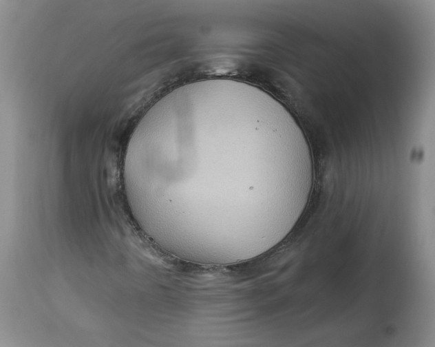 X0000114531442200911091100