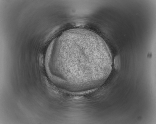 X0000114531443200911091100