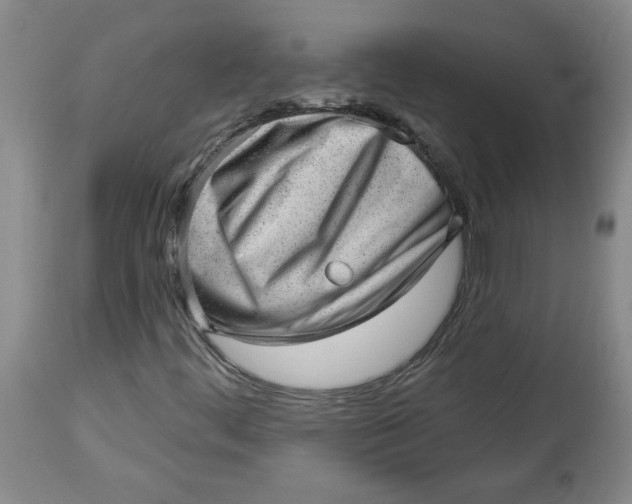 X0000114531444200911091100