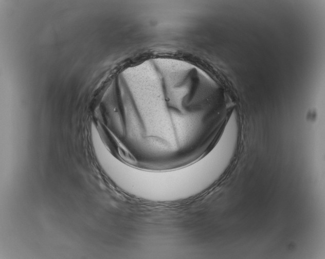 X0000114531445200911091100