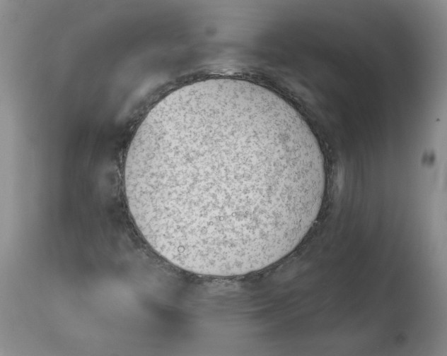 X0000114531446200911091100