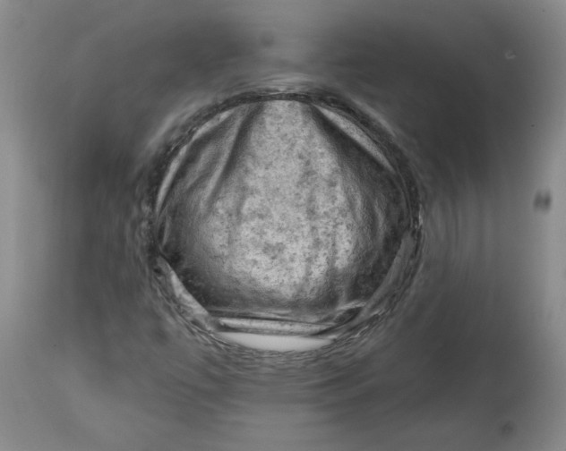 X0000114531447200911091100