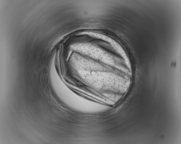 X0000114531449200911091100
