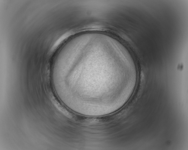 X0000114531450200911091100
