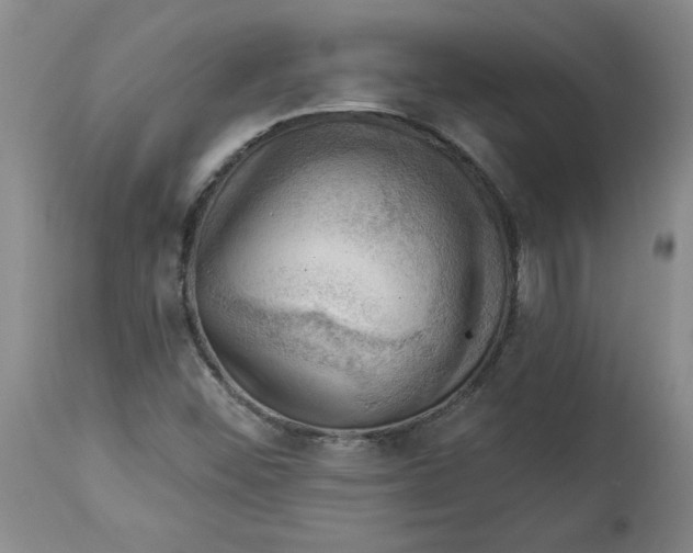 X0000114531452200911091100