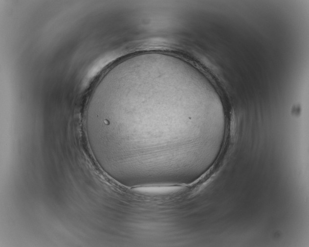 X0000114531453200911091100