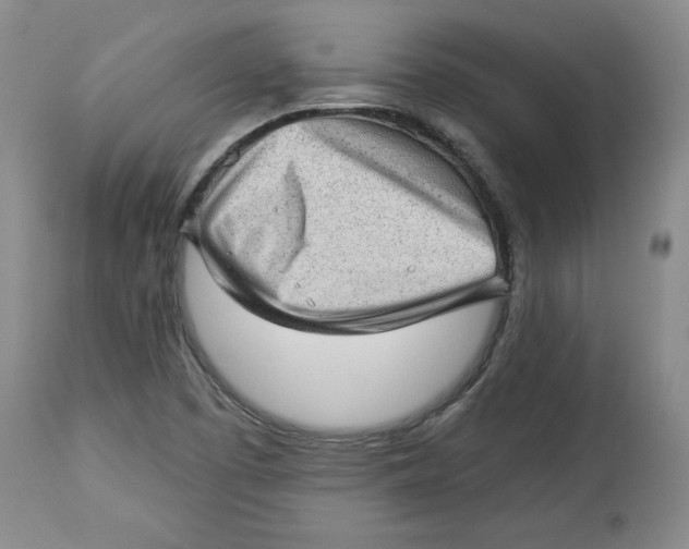 X0000114531457200911091100