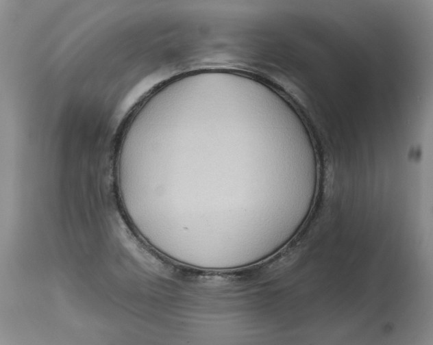 X0000114531458200911091100