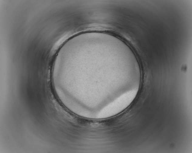 X0000114531459200911091100