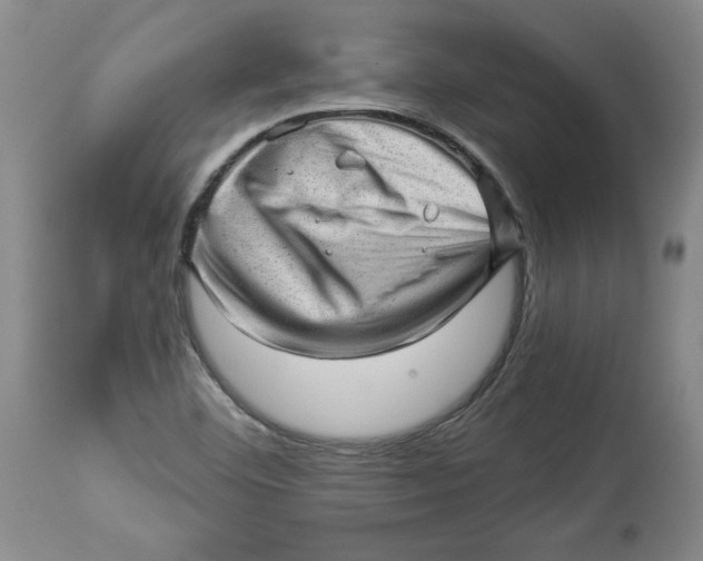 X0000114531460200911091100