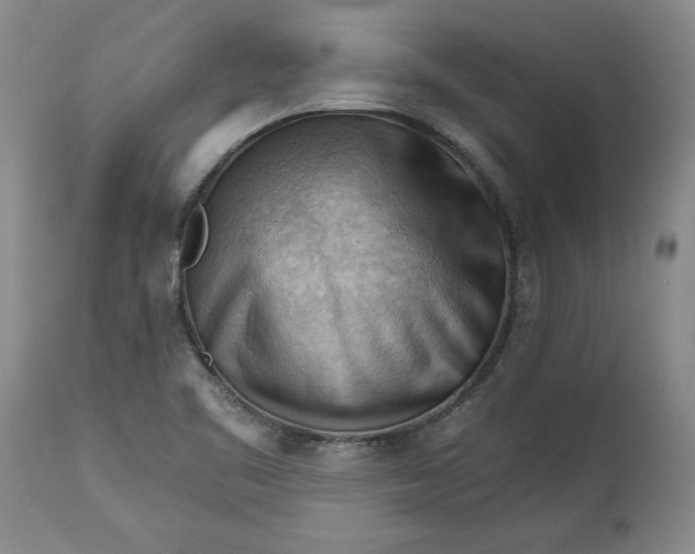 X0000114531461200911091100