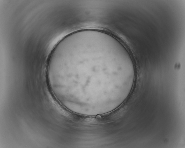 X0000114531463200911091100
