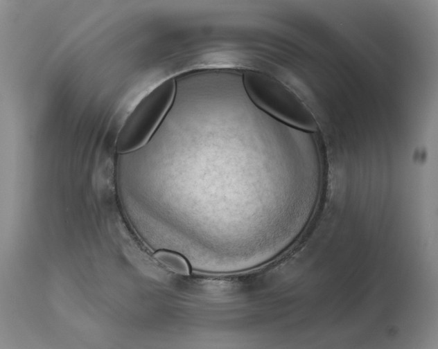 X0000114531465200911091100