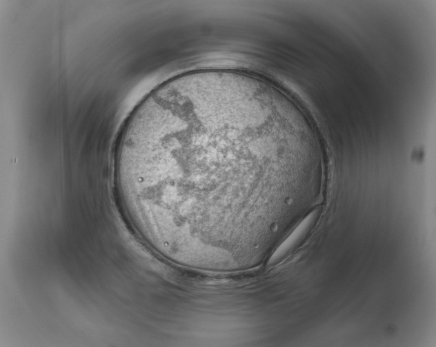 X0000114531467200911091100