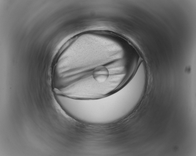 X0000114531468200911091100