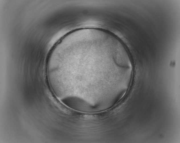 X0000114531469200911091100