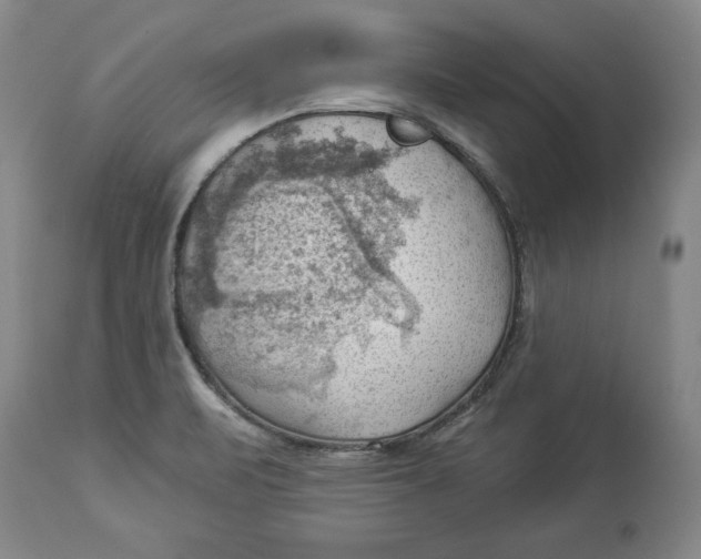 X0000114531471200911091100