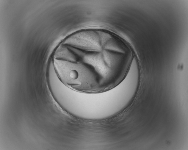 X0000114531472200911091100