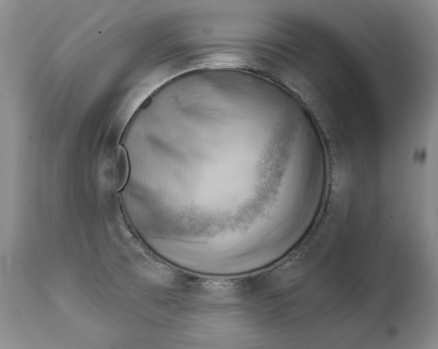 X0000114531473200911091100