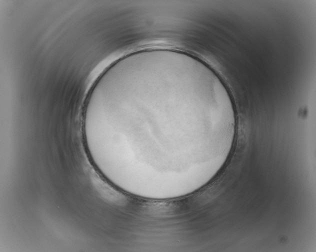 X0000114531474200911091100