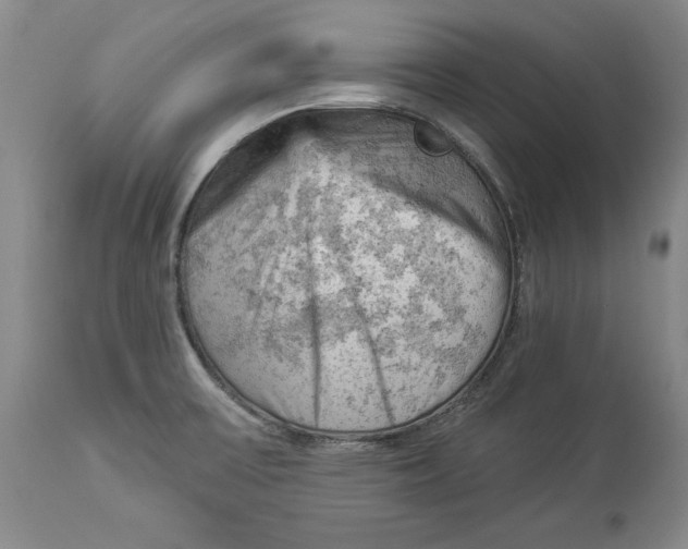 X0000114531475200911091100