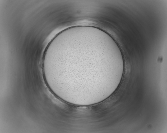 X0000114531478200911091100