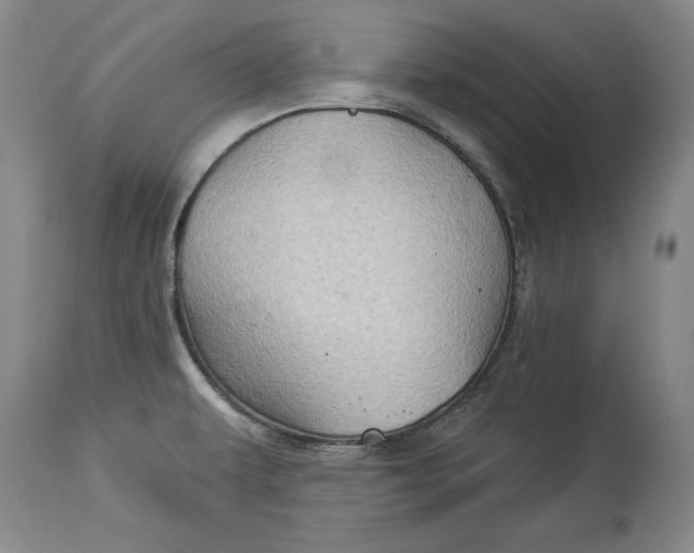 X0000114531479200911091100