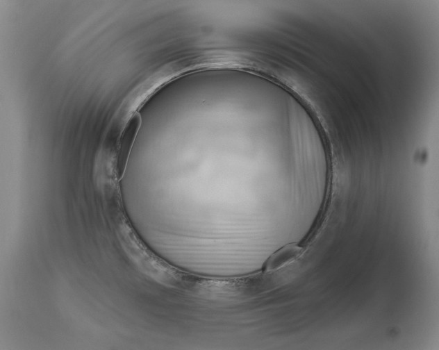 X0000114531481200911091100
