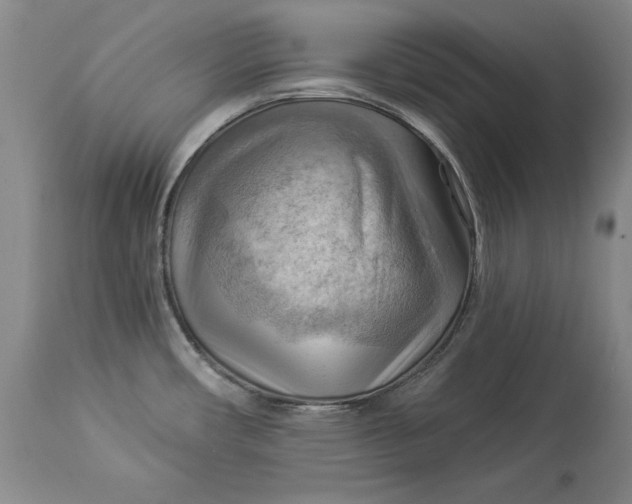 X0000114531482200911091100