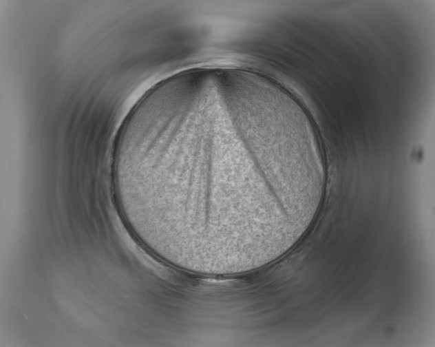 X0000114531483200911091100