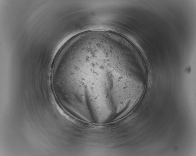 X0000114531484200911091059