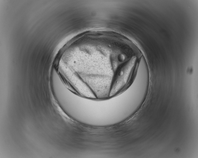 X0000114531485200911091059