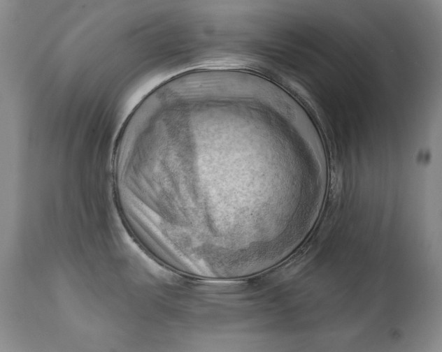 X0000114531487200911091059