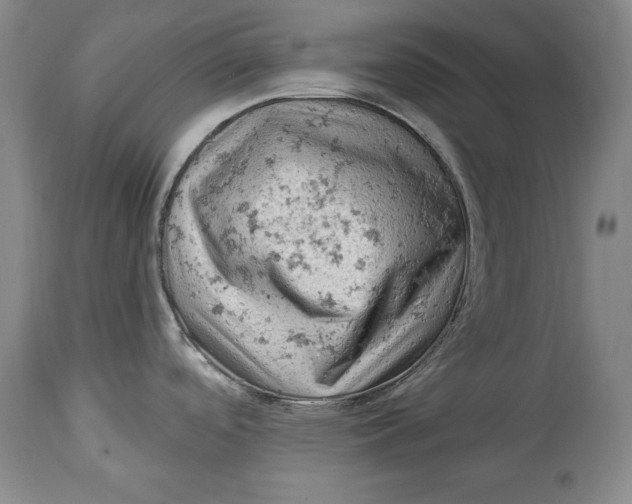 X0000114531488200911091059