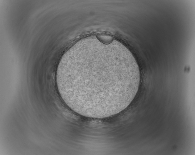 X0000114531489200911091059
