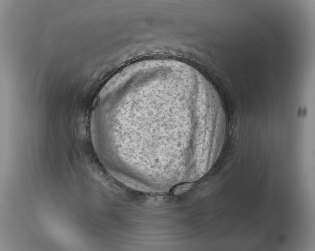 X0000114531490200911091059