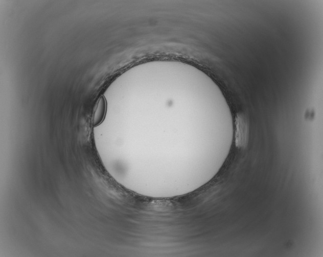 X0000114531491200911091059