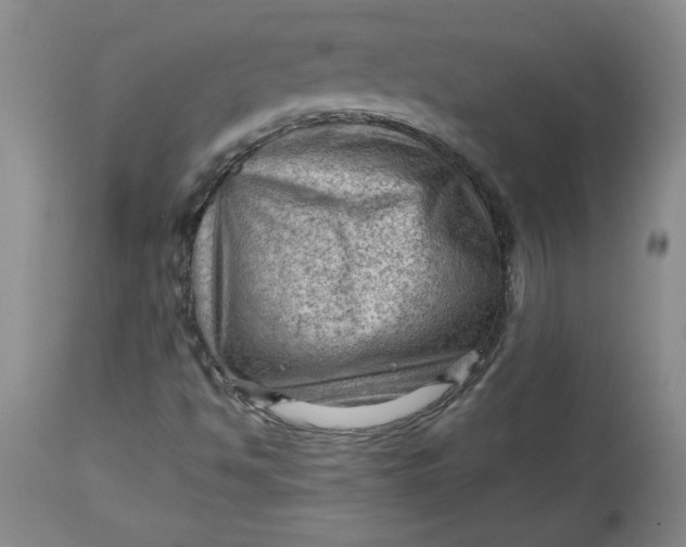 X0000114531494200911091059