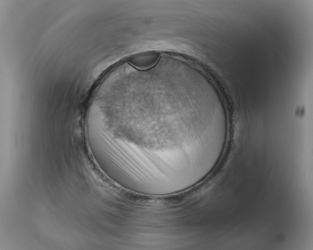 X0000114531497200911091059