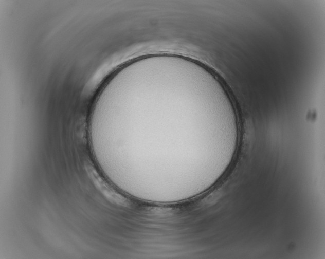 X0000114531499200911091059