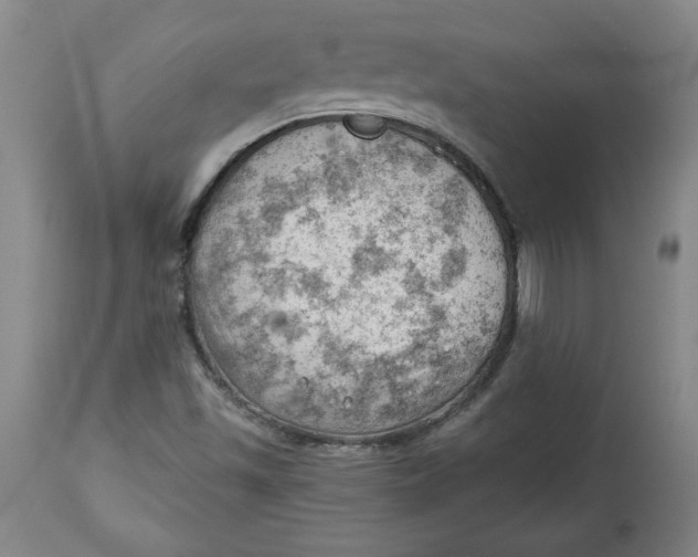 X0000114531501200911091059