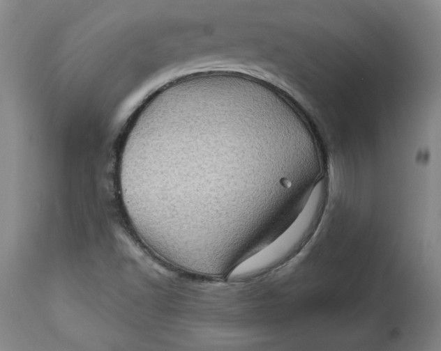 X0000114531502200911091059